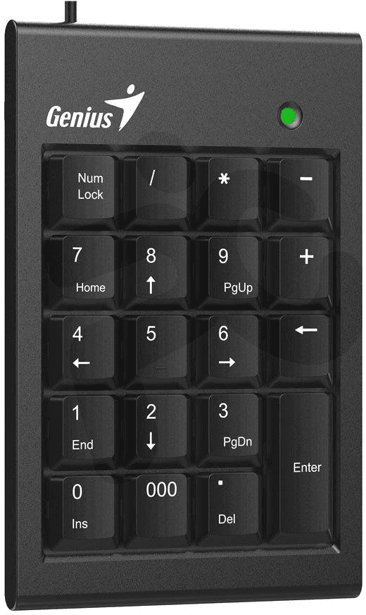 Genius NumPad 100 (31300015400)