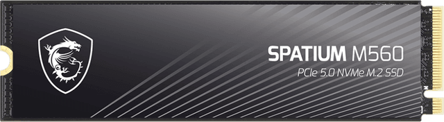 MSI Spatium M560 1 TB (SPATIUM M560)