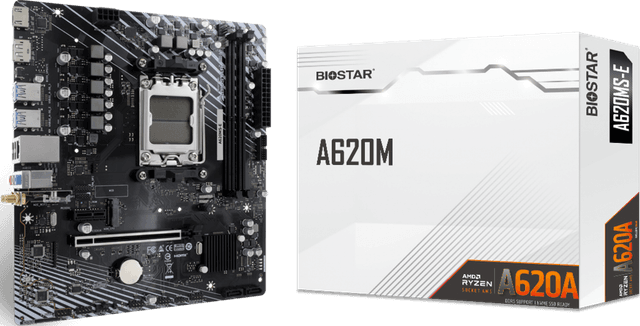 Biostar A620MS-E