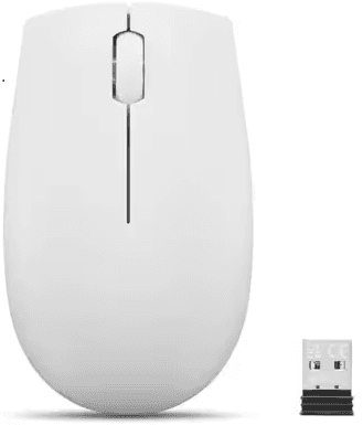 Lenovo 300 Wireless Compact Mouse - Cloud Grey (GY51L15686)