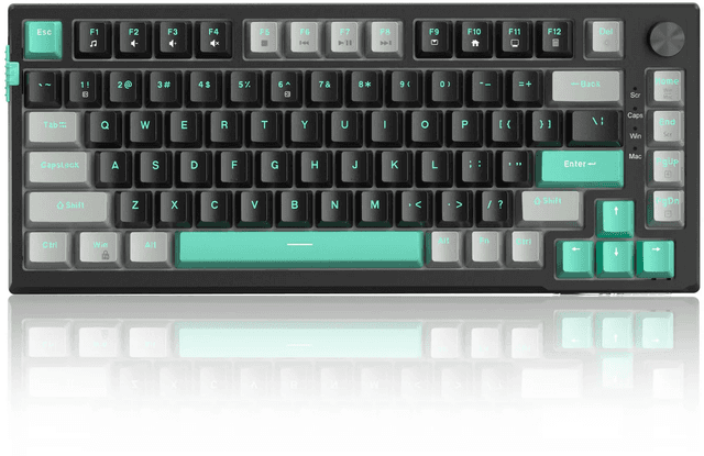 Magegee SKY81- Dark Elf / Blue Whale Switches