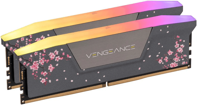 Corsair Vengeance RGB Cherry Blossom CMH32GX5M2B6000Z30CB (2 x 16 GB | DIMM DDR5-6000)
