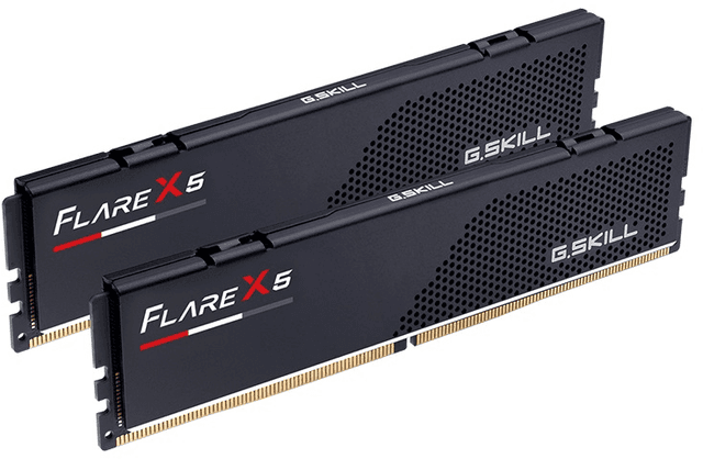 G.Skill Flare X5 F5-6000J3040G32GX2-FX5 (2 x 32 GB | DIMM DDR5-6000)