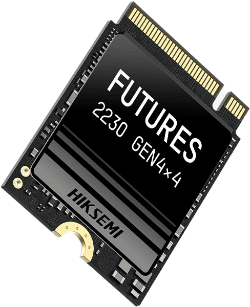 Hiksemi Future 1 TB (HS-SSD-FUTURES 2230 1024G)