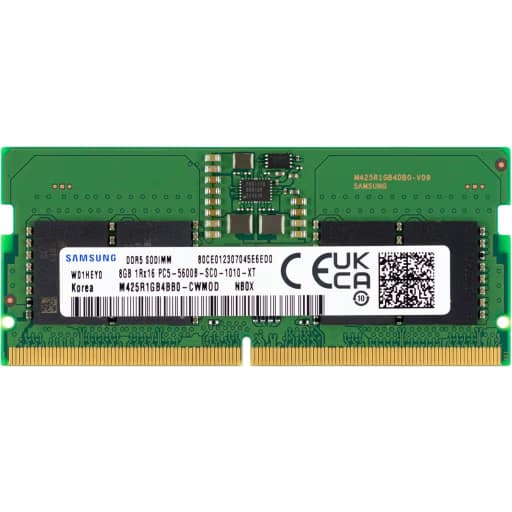 Samsung M425R1GB4BB0-CWMOL (1 x 8 GB | SO-DIMM DDR5-5600)